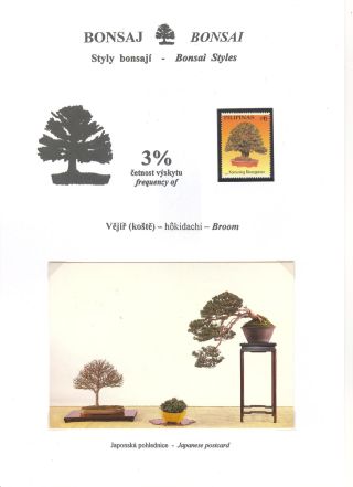 BONSAI – sheet 28