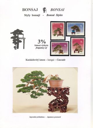 BONSAI – sheet 29