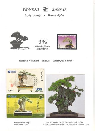 BONSAI – sheet 30