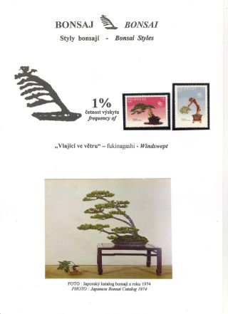 BONSAI – sheet 32