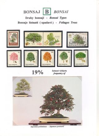 BONSAI – sheet 35