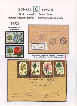 BONSAI – sheet 36