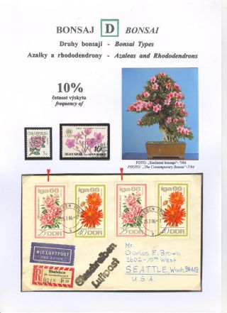 BONSAI – sheet 37