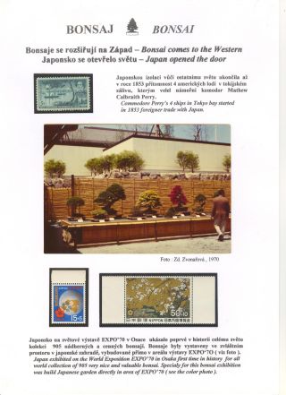 BONSAI – sheet 38