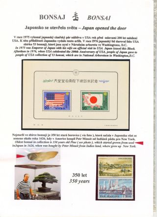BONSAI – sheet 39