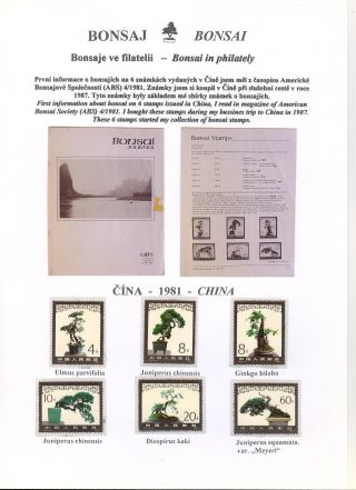 BONSAI – sheet 41