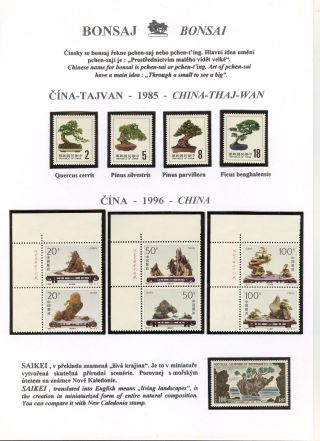 BONSAI – sheet 42