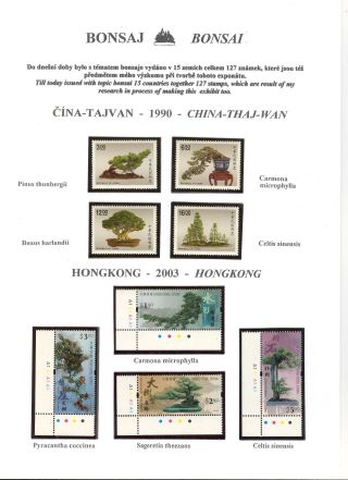 BONSAI – sheet 43