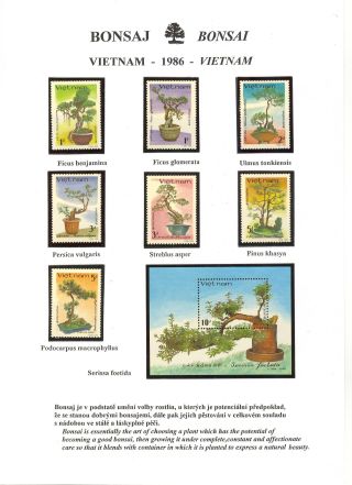 BONSAI – sheet 47