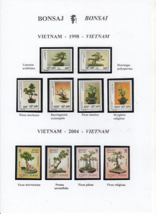 BONSAI – sheet 48