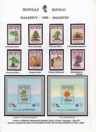 BONSAI – sheet 50