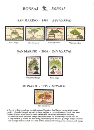 BONSAI – sheet 53