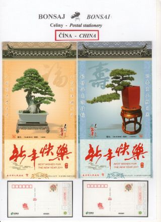 BONSAI – sheet 55