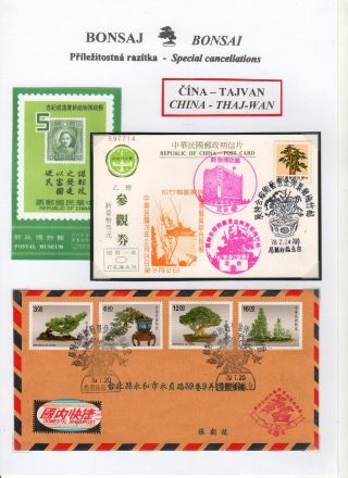 BONSAI – sheet 59