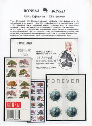 BONSAI – sheet 62