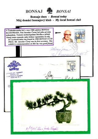 BONSAI – sheet 63