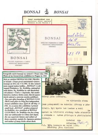 BONSAI – sheet 64