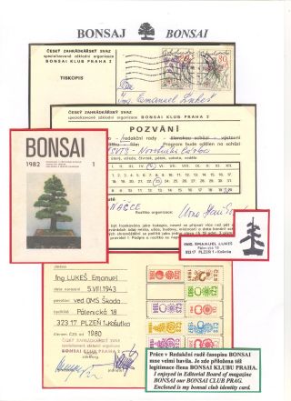 BONSAI – sheet 66