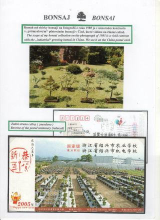 BONSAI – sheet 67