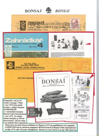 BONSAI – sheet 74