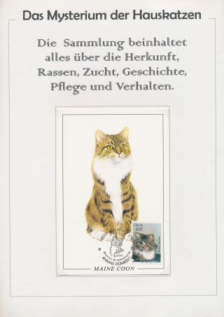 THE MYSTERY OF DOMESTIC CATS – sheet 1