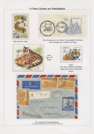 THE MYSTERY OF DOMESTIC CATS – sheet 3