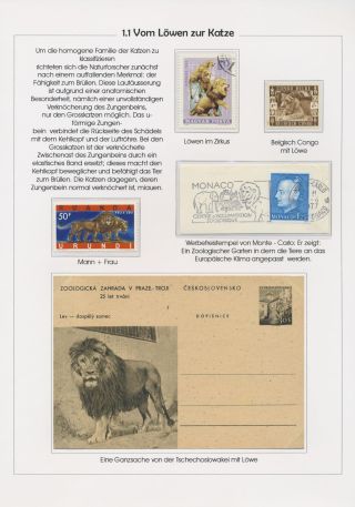 THE MYSTERY OF DOMESTIC CATS – sheet 4
