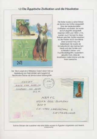 THE MYSTERY OF DOMESTIC CATS – sheet 6