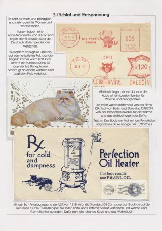 THE MYSTERY OF DOMESTIC CATS – sheet 14