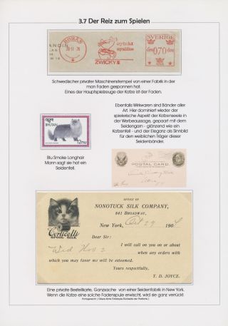 THE MYSTERY OF DOMESTIC CATS – sheet 17