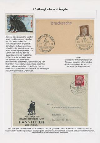THE MYSTERY OF DOMESTIC CATS – sheet 19