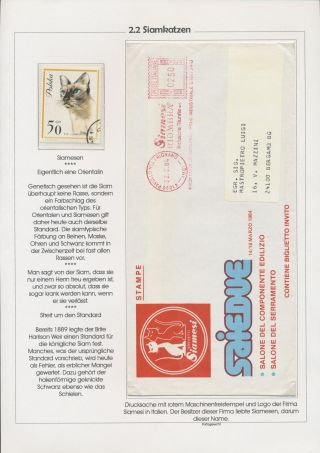 THE MYSTERY OF DOMESTIC CATS – sheet 32