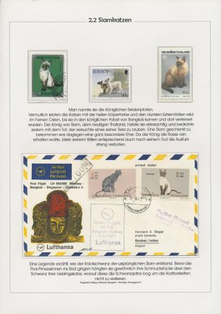 THE MYSTERY OF DOMESTIC CATS – sheet 33