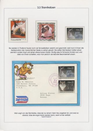 THE MYSTERY OF DOMESTIC CATS – sheet 34