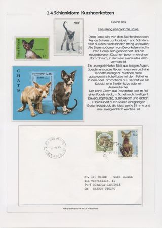 THE MYSTERY OF DOMESTIC CATS – sheet 37