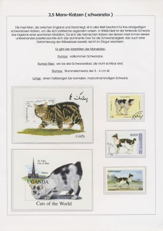 THE MYSTERY OF DOMESTIC CATS – sheet 39