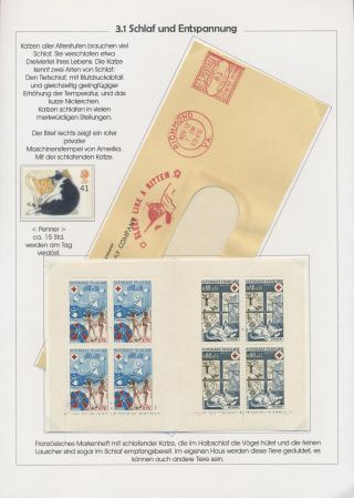 THE MYSTERY OF DOMESTIC CATS – sheet 40
