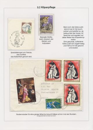 THE MYSTERY OF DOMESTIC CATS – sheet 44