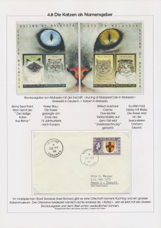 THE MYSTERY OF DOMESTIC CATS – sheet 50