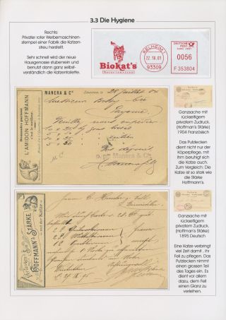 THE MYSTERY OF DOMESTIC CATS – sheet 54