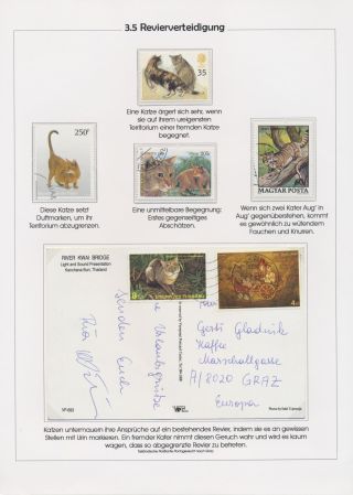 THE MYSTERY OF DOMESTIC CATS – sheet 56