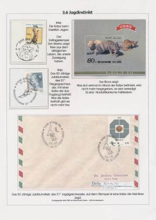 THE MYSTERY OF DOMESTIC CATS – sheet 58