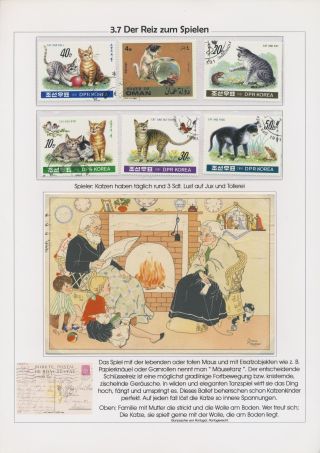 THE MYSTERY OF DOMESTIC CATS – sheet 61