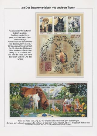 THE MYSTERY OF DOMESTIC CATS – sheet 65