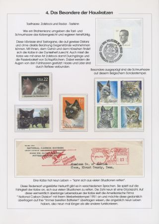 THE MYSTERY OF DOMESTIC CATS – sheet 75