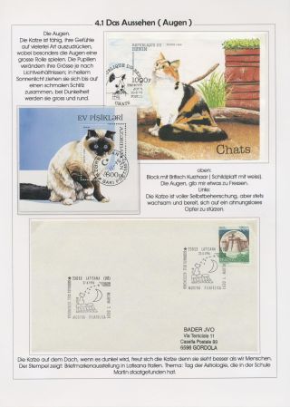THE MYSTERY OF DOMESTIC CATS – sheet 76