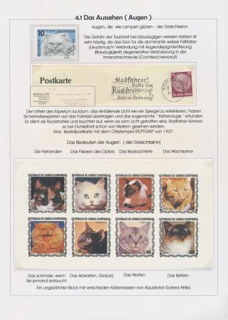 THE MYSTERY OF DOMESTIC CATS – sheet 77