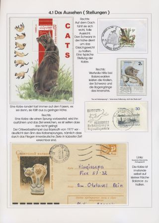 THE MYSTERY OF DOMESTIC CATS – sheet 79