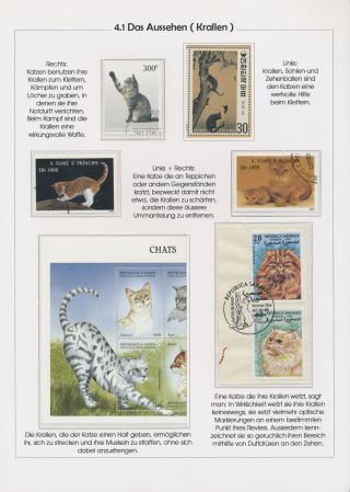 THE MYSTERY OF DOMESTIC CATS – sheet 81