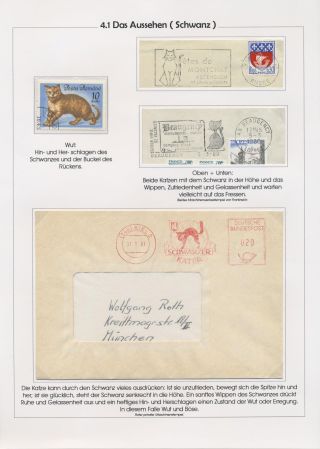 THE MYSTERY OF DOMESTIC CATS – sheet 82